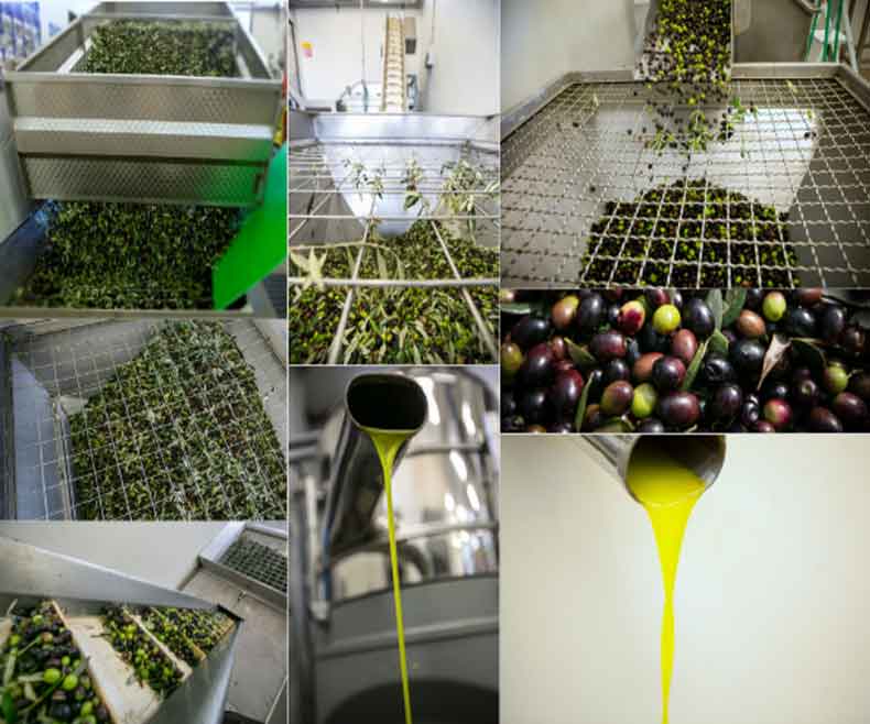 olio extravergine oliva